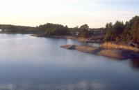 Auringon kultaamat rantakalliot Kifsk�riss� 12.7.1999